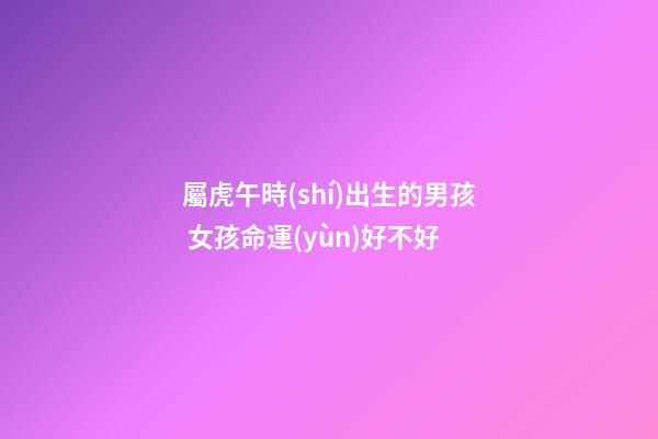 屬虎午時(shí)出生的男孩 女孩命運(yùn)好不好